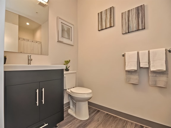 a bathroom with a toilet and a sink and a mirror