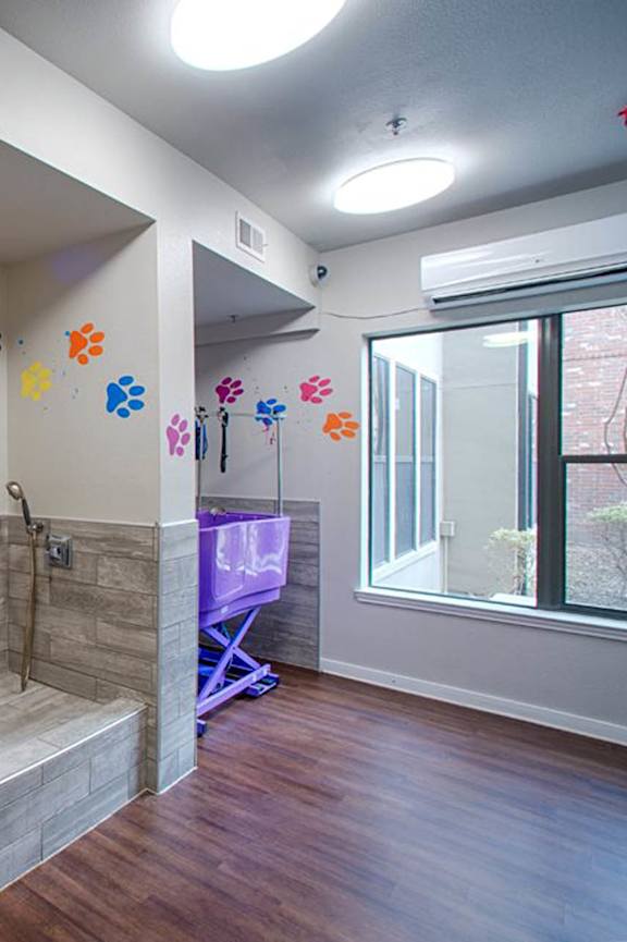 Pet Grooming Area at Gramercy on the Park in Dallas, 75287