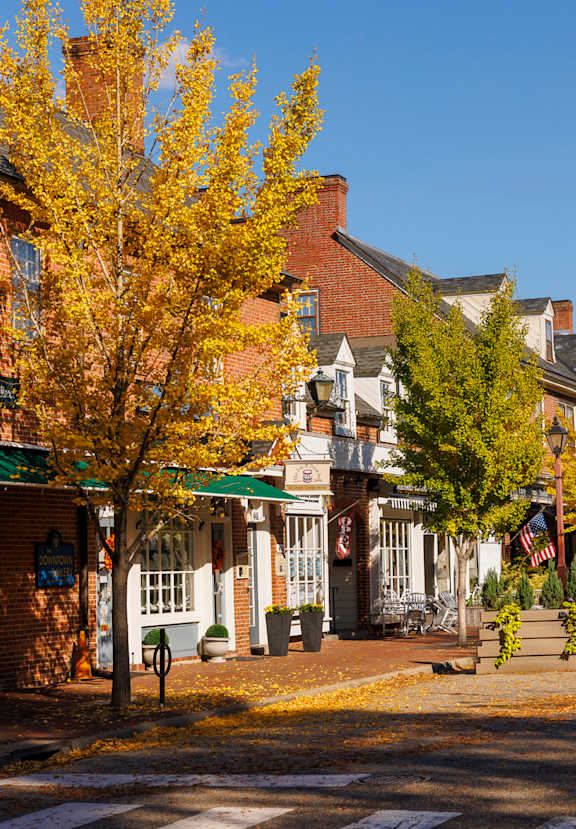 A street view of a small town with buildings and trees.