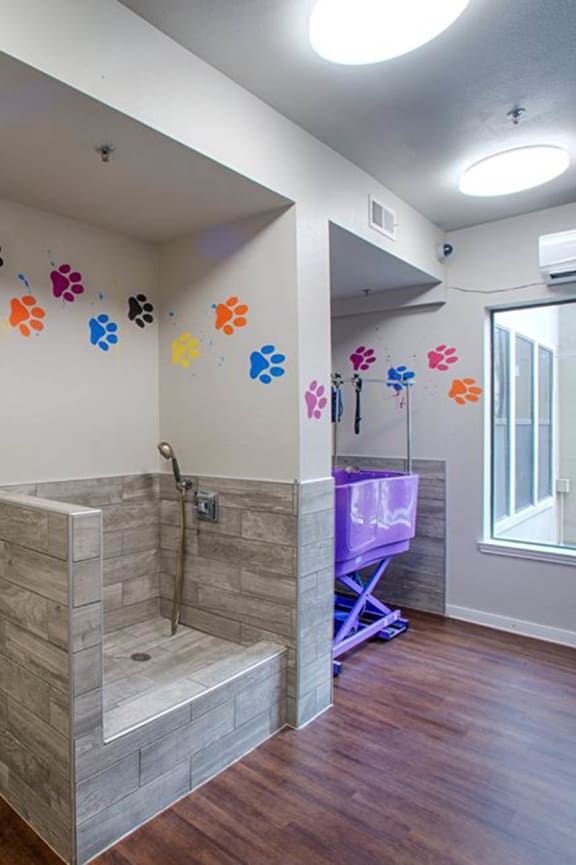 a bathroom with a shower and colorful wall decorations