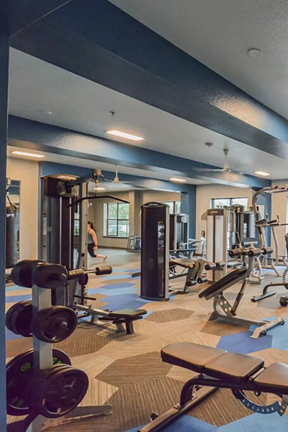 a gym with weights and cardio equipment in a luxury home