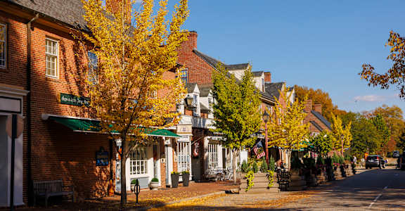 A street view of a small town with buildings and trees.