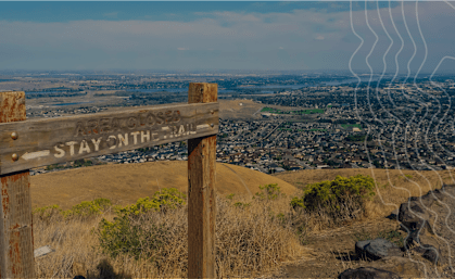 A wooden signpost with the words "Stay on the Trail" on it.