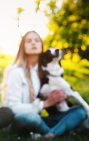 a group of people sitting on the grass with their dogs
