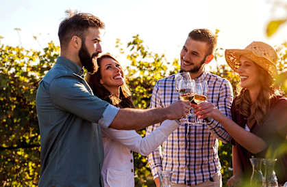 Friends at LINCOLN GARDENS APARTMENTS, Napa, CA 94559