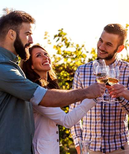 Friends at LINCOLN GARDENS APARTMENTS, Napa, CA 94559