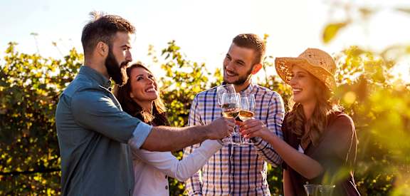 Friends at LINCOLN GARDENS APARTMENTS, Napa, CA 94559
