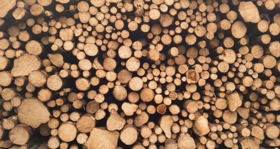 Close Up View of Wood Logs