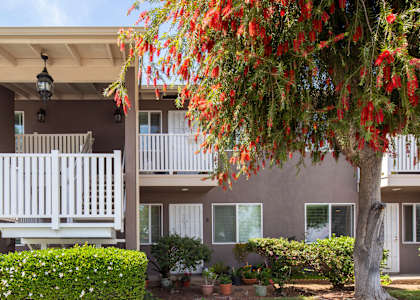 Crandall Apartments