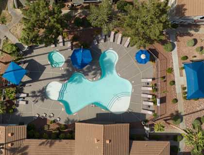 An aerial view of a pool surrounded by trees and umbrellas.