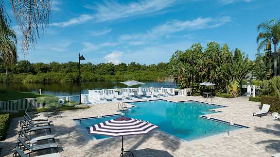 the swimming pool at the resort at longboat key club