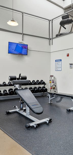 A gym with a variety of equipment including a bench press, a leg press, and a squat rack.
