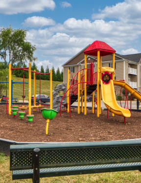 Kids-on-Playground Jefferson Forest