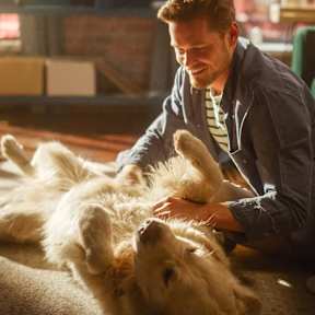 A man is playing with a white dog on a rug.