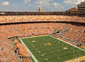 A football stadium is packed with fans watching a game.