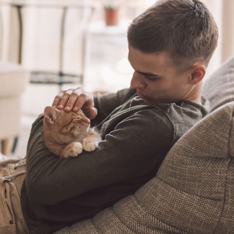A man is sitting on a couch holding a cat.