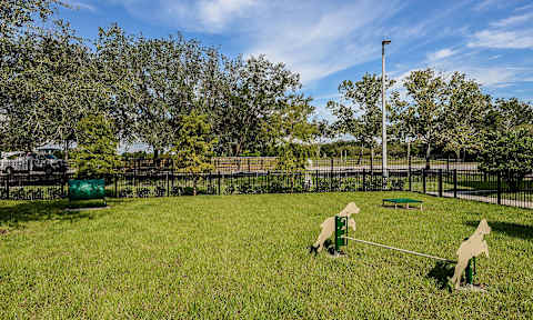Apartments with a Dog Park at Epic at Gateway Luxury Apartments in Pinellas Park FL
