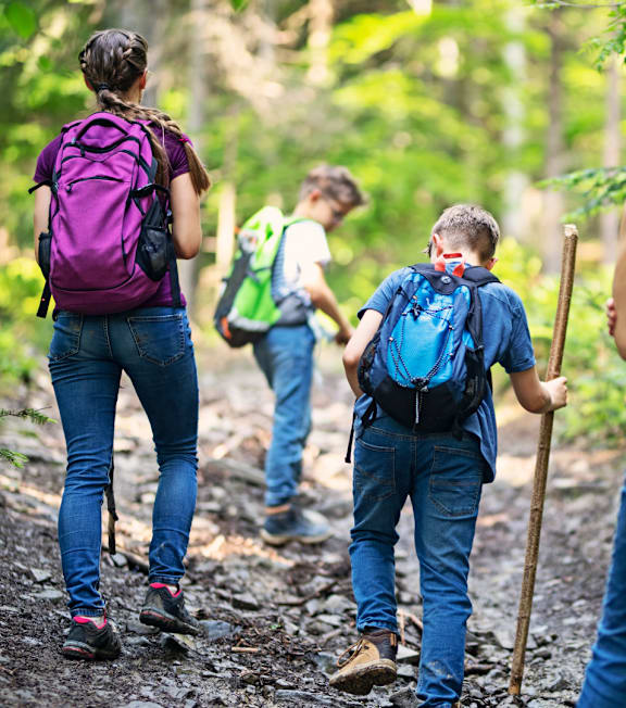 A family of four is hiking in the woods.