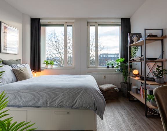 A bedroom with a bed, a chair, and a plant.