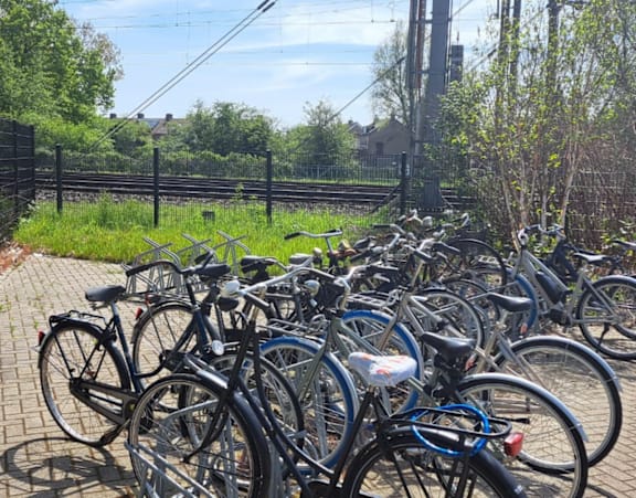 A bunch of bicycles are parked on a brick path.