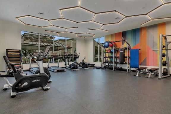 a gym with weights and exercise equipment and a colorful wall