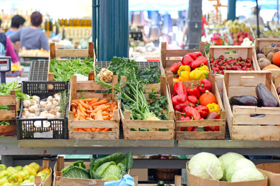 farmers market at Palmetto Place Apartments, Taylors, South Carolina