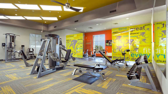 A gym with a variety of equipment including treadmills, weights, and exercise machines.