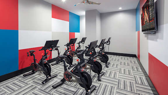 A row of stationary bikes are lined up in a room.