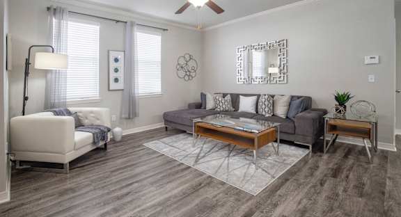 Large Open Floor Plan Kitchen and Living Room