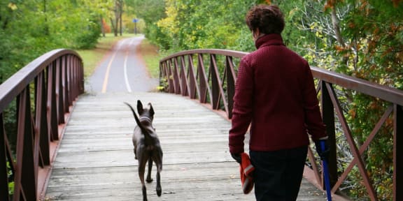 a woman walking her dog across a bridge