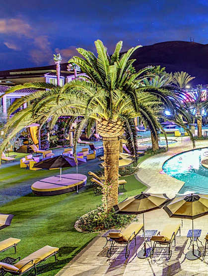 A pool surrounded by palm trees and umbrellas.