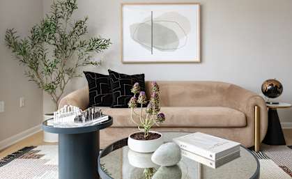 A living room with a beige couch, a grey coffee table, and a plant.