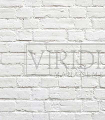 A white brick wall with the word "VIRIDIAN" written on it.