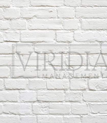 A white brick wall with the word "VIRIDIAN" written on it.