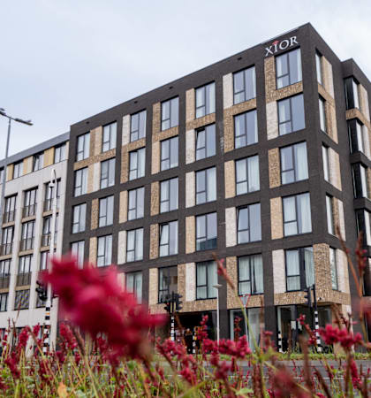 A tall building with the word "XLOR" on the top is surrounded by red flowers.