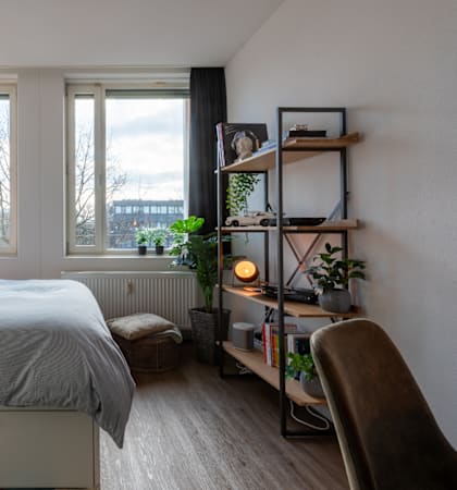 A bedroom with a bed, a chair, and a plant.