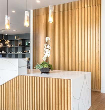 A reception desk with a plant on top and a white counter.