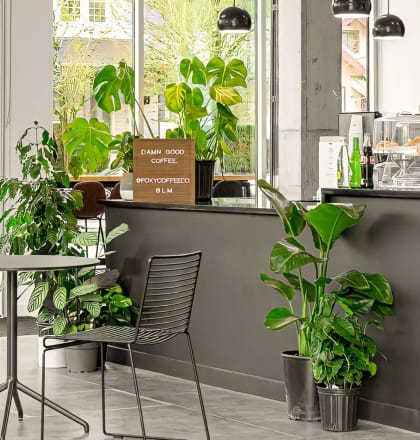 a dining area with a table and chairs and plants