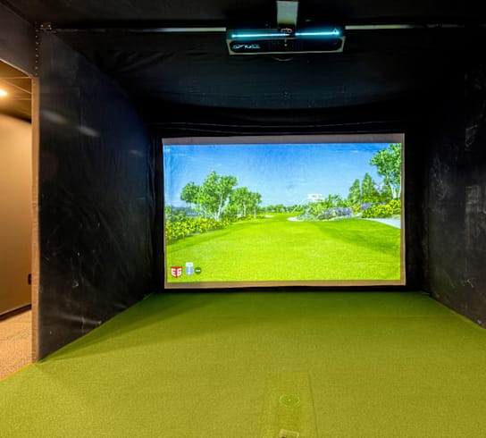 A room with a green carpet and a screen showing a landscape.