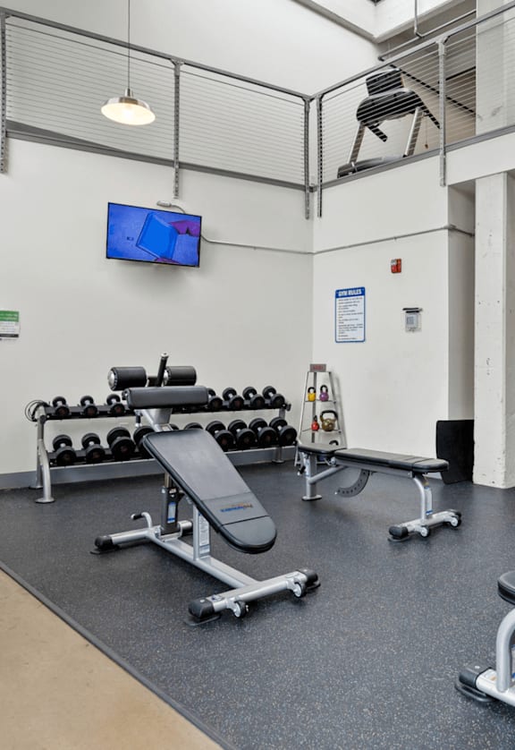 A gym with a variety of equipment including a bench press, a leg press, and a squat rack.