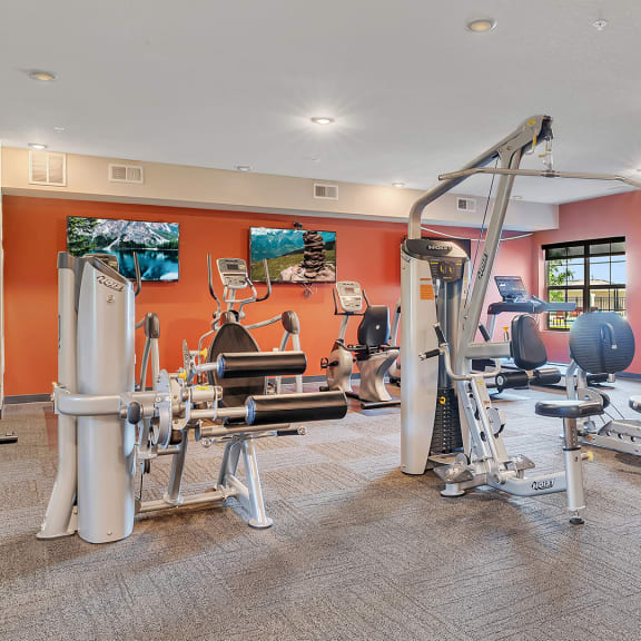 a gym with cardio equipment and weights on the floor