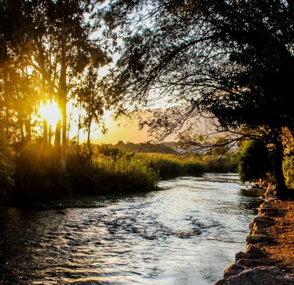 river at C.W. Moore Apartments, Boise, Idaho