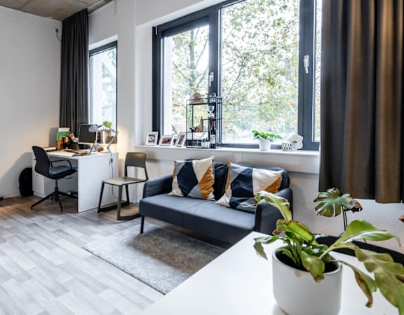 A living room with a grey couch, a white table, and a plant on the table.