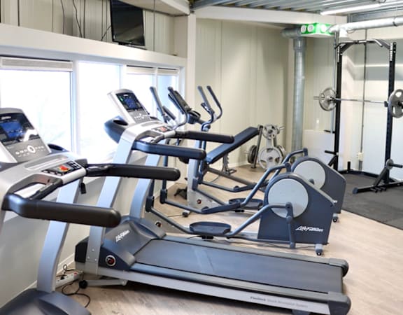 A gym with treadmills and exercise equipment.