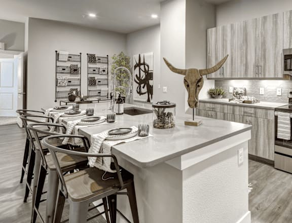 A modern kitchen with a large island and a cow skull as a decoration at Arise Riverside Apartments, Austin, TX, 78741