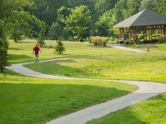 a man walking down a path in a park