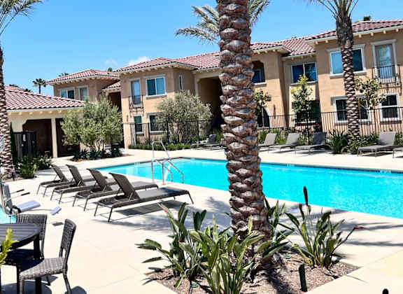 the swimming pool at the resort