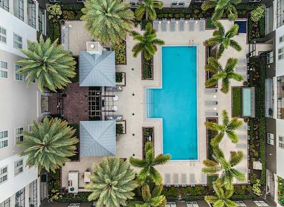 A swimming pool surrounded by palm trees and buildings.