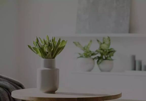 A white vase with a green plant sits on a table.