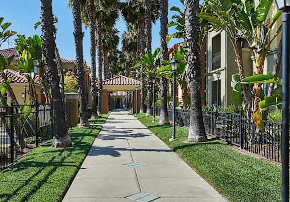 A tree-lined street with a sidewalk and houses on both sides.